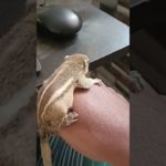 cutest pet 🐿️ever ❤️