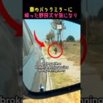 一瞬の気が母犬と子犬を救う！#動物保護 #dog #ペット