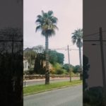 experience the amazing natural beauty of Portugal 🇵🇹 #portugal #nature #travel #naturetrip #shorts