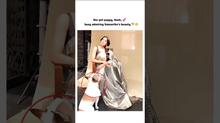 hash watching Sam’s beauty 😍#viral #love #trending #youtube #explore