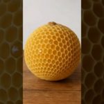 #healing cute pet videos relieving and #decompression #decompressionvideo