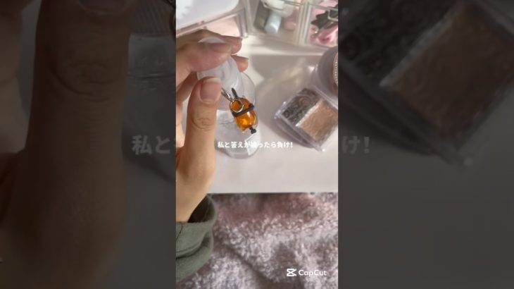 勝たせる気ないです＾＾#生活音 #コスメ #メイク #makeup #cosmetics #無加工系統