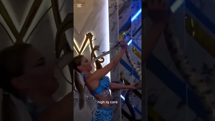 pet reaction #shorts #petreaction_