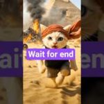 plan crash save cat 🐈 #shorts #cute #viral