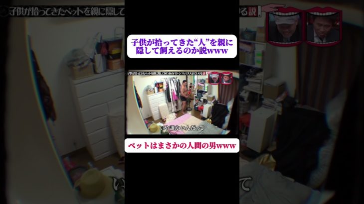 子供が拾ってきたペットを親に隠して飼うあのパターン マックス人までいける説! #水曜日のダウンタウン #shorts #ドッキリ