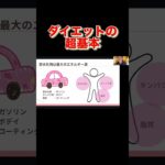 【食べ痩せ】ダイエットの基本を解説！#shorts #ダイエット