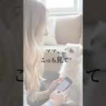 【ペットたちが】あなたに伝えていたと　#アニマルコミュニケーション  #アニマルコミュニケーター  #スピリチュアルヒーラー  #ペットロス  #タロットカード  #スピリチュアル  #shorts