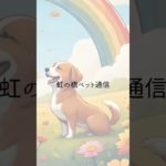 虹の橋ペット通信🌈　#アニマルコミュニケーション  #アニマルコミュニケーター  #スピリチュアルヒーラー　#ペットロス  #タロットカード  #タロットカード  #shorts