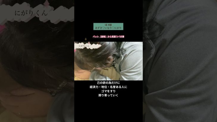 【無条件の愛】ペット（動物）から見習うべきこと🤲#shorts #diary #無条件の愛