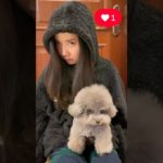 飼い主に似るペット達#ペット #犬 #おもしろ #shorts #short