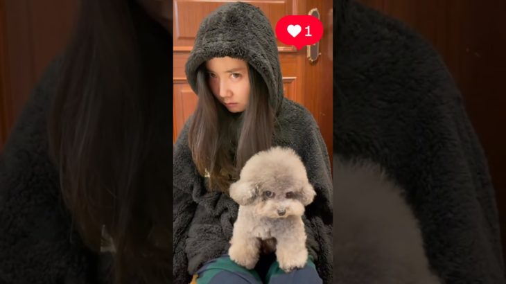 飼い主に似るペット達#ペット #犬 #おもしろ #shorts #short