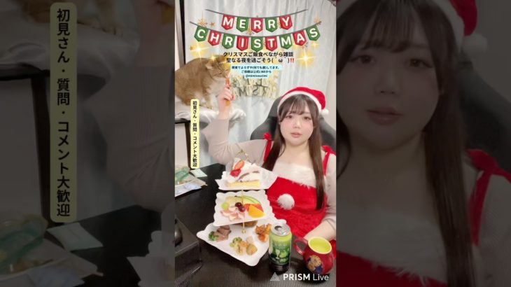 来年は誰と一緒かな？#shortsfeed #shortvideo #ぽっちゃり #ダイエット#クリぼっち#クリスマス #猫#shorts #short#xmas