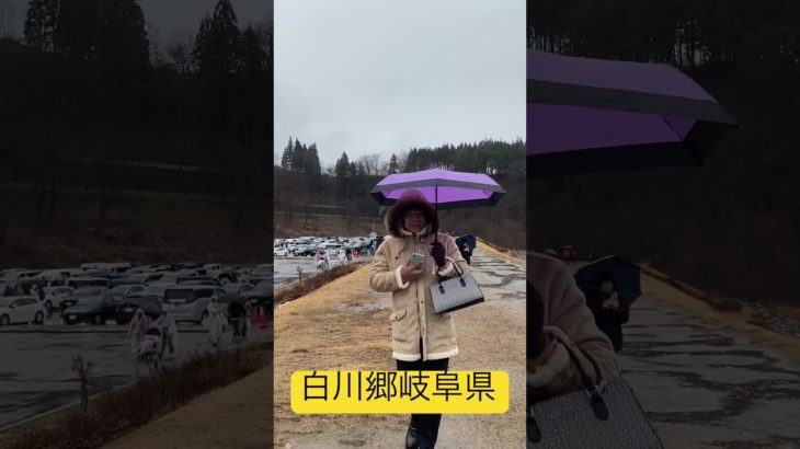 #shortvideo #柴犬 #ペットカート #shepherdmix #shirakawago