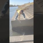 私のペットが行方不明です #tiktok