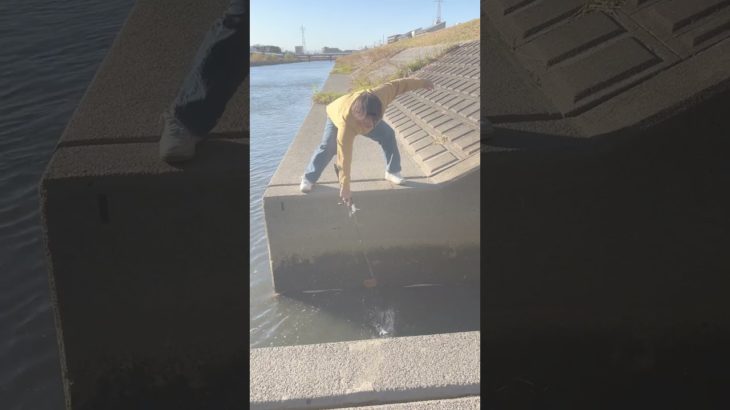 私のペットが行方不明です #tiktok