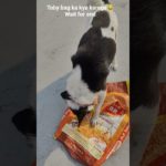 toby bag ka kya karga😂😂😂#pet#funny #trending #shortsfeed #viral#youtubeshorts