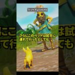 批判殺到したペットについての雑学【フォートナイト】