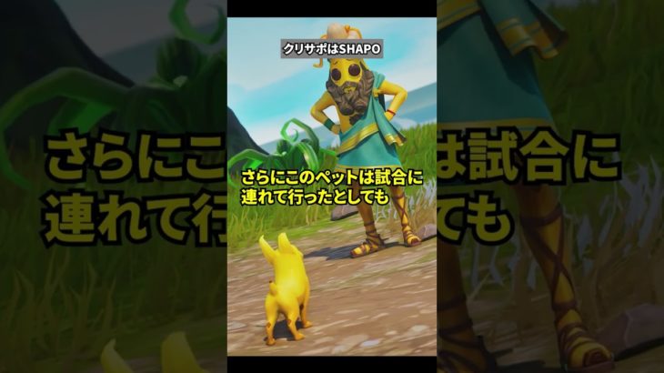 批判殺到したペットについての雑学【フォートナイト】