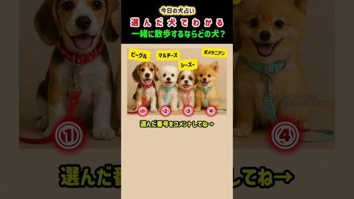 犬占い🐶選んだ犬で“運勢”がわかる