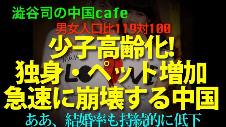 少子高齢化!独身・ペットの増加で急速に崩壊へ　　　　#習近平　#中国共産党