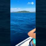 【釣りガール】釣りよかでしょう！海釣りの模様