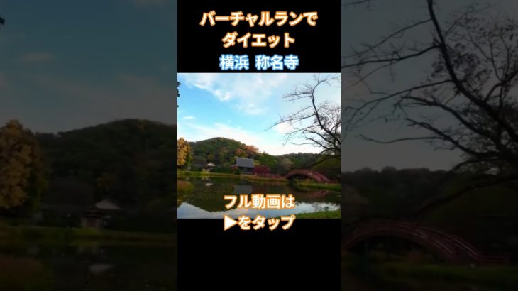 バーチャルランでダイエット 横浜市称名寺から小柴熊野神社 トレッドミルのランニング用動画 有酸素運動で減量しよう  静かな環境音で勉強や仕事 集中用にもどうぞ 景観ランで旅行観光気分