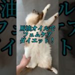 馬油オイルでフェムケア ダイエット！