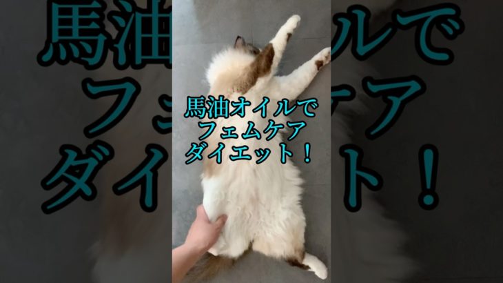 馬油オイルでフェムケア ダイエット！