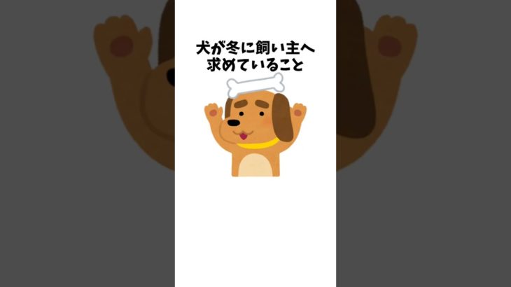 犬が冬に飼い主へ求めていること　#犬 #ペット #雑学