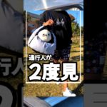 飼い主もペットもニヤリ #商品紹介 #便利 #ペットキャリー#犬 #猫