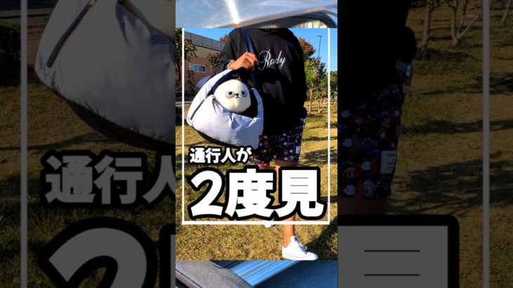 飼い主もペットもニヤリ #商品紹介 #便利 #ペットキャリー#犬 #猫