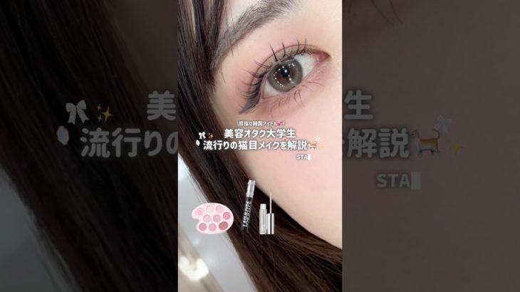 【目指せ韓ドル💞】最近流行りの猫目メイク解説✨クールとキュートのいいとこ取り🥹🤍 #大学生 #コスメ #メイク #韓国アイドル#アイメイク#カラコン