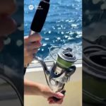 【釣りガール】ギャルフィッシャーズの海釣りの模様