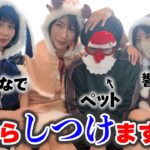 【神回】クリパのはずが、ペットの“しつけ”が始まりカオスに…