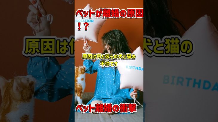 ペットが引き裂いた新婚生活！？🐶🐱💔 #愛と動物のジレンマ #夫婦関係 #ペット問題
