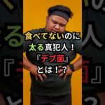 食べてないのに 太る真犯人！ 『デブ菌』 とは！？#ダイエット#腸内環境#医療雑学