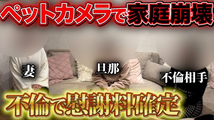 ペットカメラが映してた… 相手は同じマンションの女子大生でした