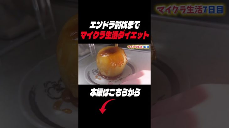 エンドラ討伐までマイクラダイエット#マイクラ #ゆっくり実況