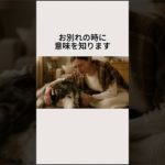 ワンちゃんにありがとうを伝えられていますか・・・ #ペット #犬 #感謝   #家族 #犬好きさんと繋がりたい