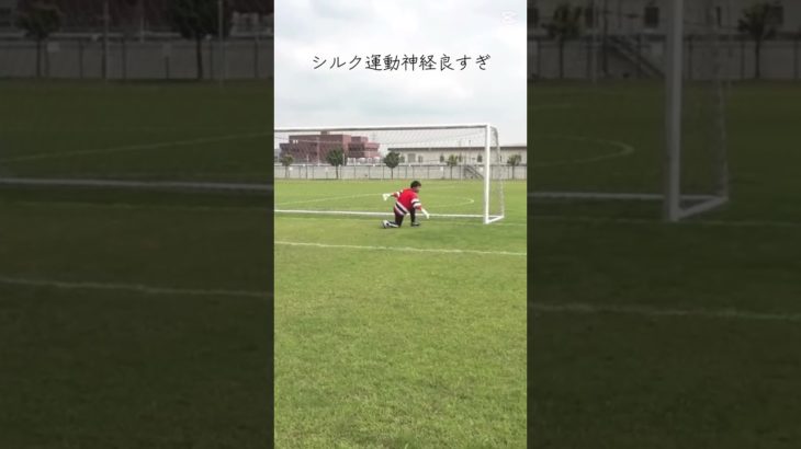 これがモテる秘訣か！#シルク #イケメン #ゆうさくスポーツ#フィッシャーズ #運動神経  #フィッシャーズ切り抜き