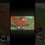 どこ向いてんだよ。#フィッシャーズ切り抜き #フィッシャーズ #犬 #シルクロード #ンダホ #ダーマ #うんち