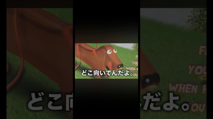 どこ向いてんだよ。#フィッシャーズ切り抜き #フィッシャーズ #犬 #シルクロード #ンダホ #ダーマ #うんち