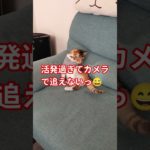 休みの日は何してる？