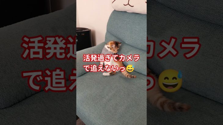 休みの日は何してる？