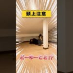 【まったり生活🌿】ペットも飼えるオシャレメゾネットはこちら🏡✨