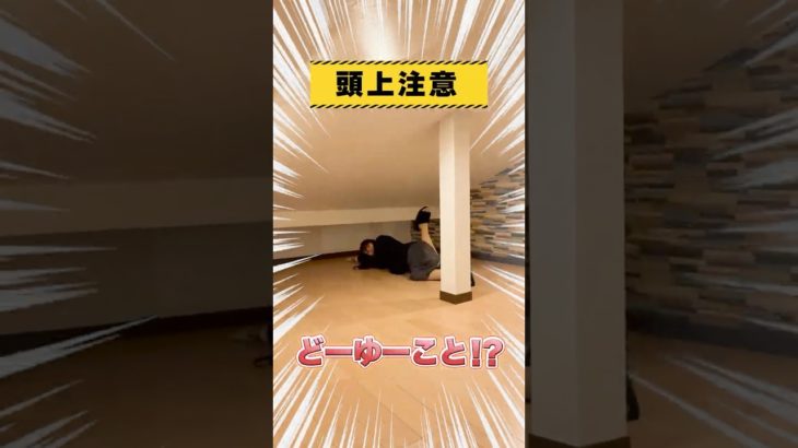 【まったり生活🌿】ペットも飼えるオシャレメゾネットはこちら🏡✨