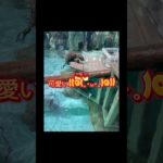 #有酸素運動 #減量 #ダイエット #ボディメイク #よもぎ風呂 #代謝あげ #パーソナルトレーニング #映えなし #甲状腺亢進症 #甲状腺バセドウ病 #弁膜症 #ズンバ #リングフィット #ゲーム