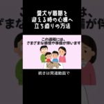 愛犬が最期を迎える時の準備とは..！#ペット #雑学
