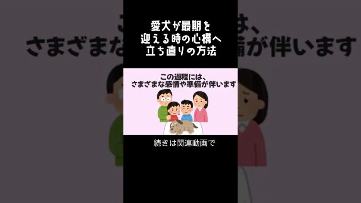 愛犬が最期を迎える時の準備とは..！#ペット #雑学