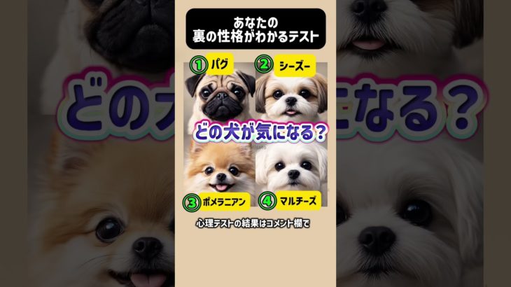 あなたの裏の性格がわかるテスト🐶どの犬が気になる？